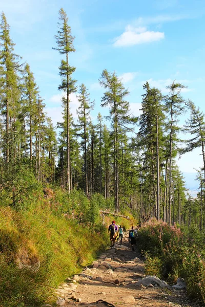 High Tatras Mountains, Eslováquia — Fotografia de Stock