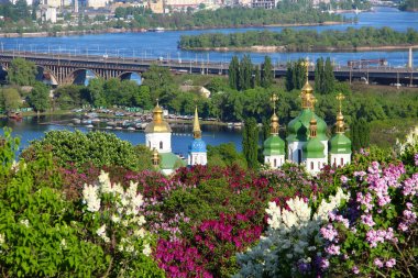 Kiev, Ukrayna leylak çiçeği ile Vydubychi Manastırı