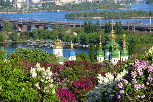 Vydubychi klášter s fialovými květy v Kyjevě, Ukrajina — Stock fotografie