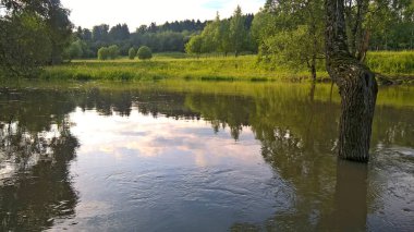 Küçük Güzellik Nehri