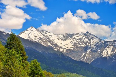 Dağ manzarası - mavi bulutlu gökyüzü, yeşil ağaçlar ve kar
