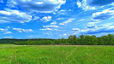 Bulutlu gökyüzü, yeşil çimenler ve ağaçlarla kaplı ilkbahar kırsal arazisi                    