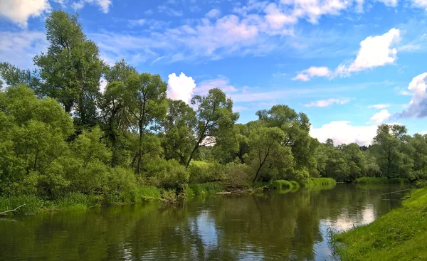 Paysage Estival Avec Ciel Nuageux Bleu Rivière Arbres Herbe — Photo