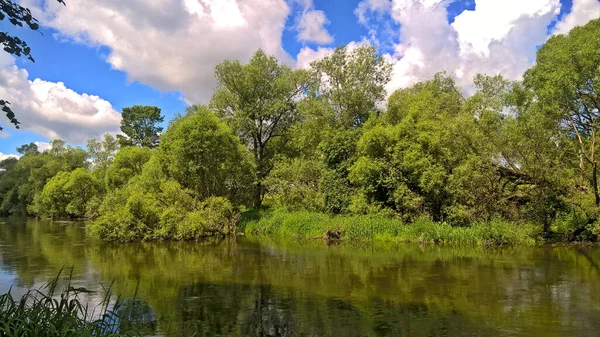 Paisagem Verão Com Céu Azul Nublado Rio Árvores Grama — Fotografia de Stock