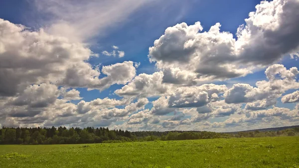 Letni Krajobraz Wiejski Zachmurzonym Niebem Zieloną Trawą Drzewami — Zdjęcie stockowe