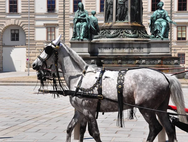 Fiaker au palais de Hofburg à Vienne — Photo