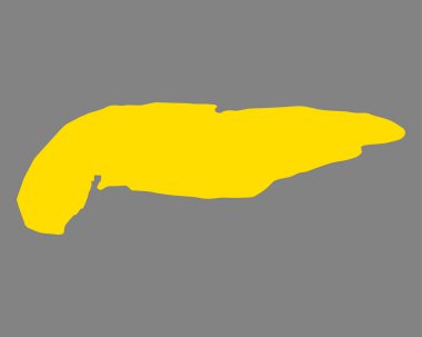 Spiekeroog doğru harita