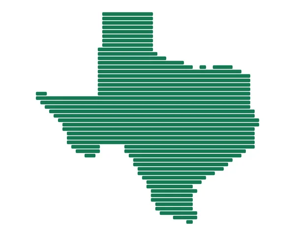 Mapa preciso de Texas — Vector de stock