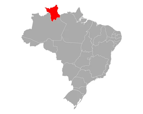 Kaart van Roraima in Brazilië — Stockvector