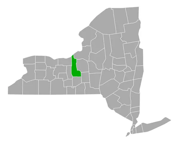 纽约Cayuga地图 — 图库矢量图片