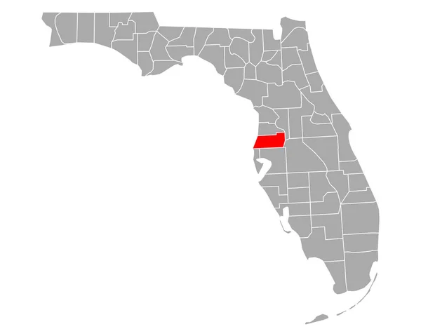 Karta Över Pasco Florida — Stock vektor