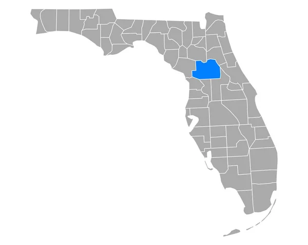 Florida Daki Marion Haritası — Stok Vektör