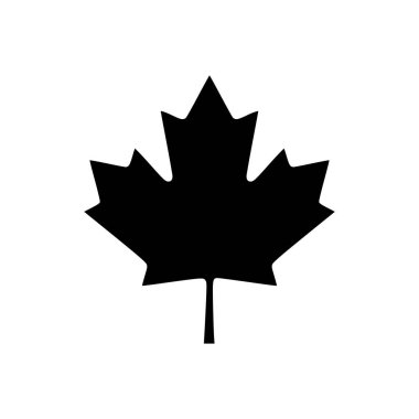 Vektör illüstrasyonu olarak akçaağaç yaprağı ve arkaplan