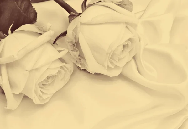 Beautiful white roses on white silk as wedding background. In S Stock Picture
