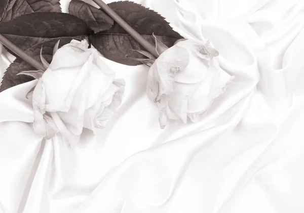 Όμορφα λευκά τριαντάφυλλα σε λευκό μετάξι ως γάμο σε φόντο. Στο S — Φωτογραφία Αρχείου