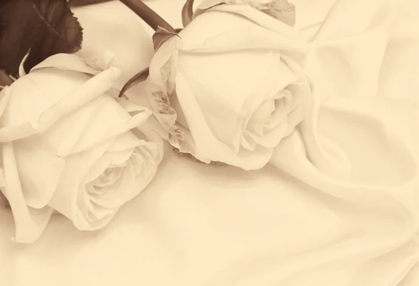Schöne weiße Rosen auf weißer Seide als Hochzeitsgrund. in s — Stockfoto