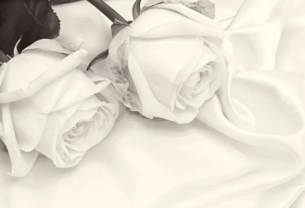 Rosas brancas bonitas em seda branca como fundo de casamento. Em S — Fotografia de Stock