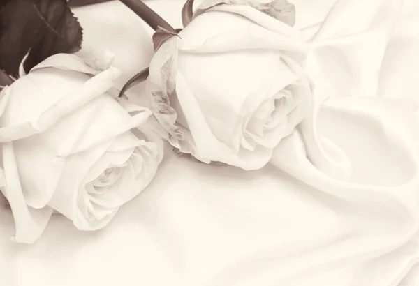Hermosas rosas blancas sobre seda blanca como fondo de boda. En S — Foto de Stock