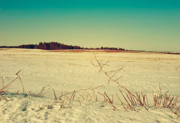 Early spring. On fields snow starts thawing — Stock Photo, Image