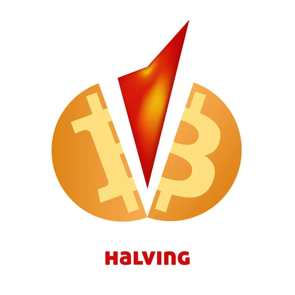 Btc Halving Symbol Bitcoin Protocol Cuts Block Reward Half Vector — Stock Vector