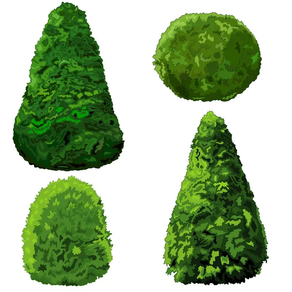 Et of bushes and cypress — Stock Vector