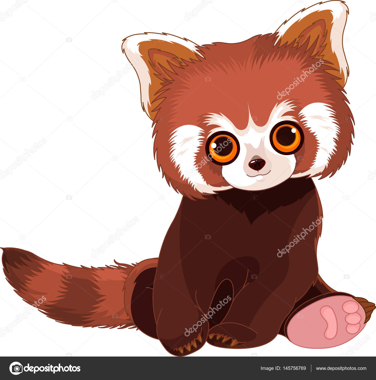 Cute Red Panda Stock Vector Image By C Dazdraperma