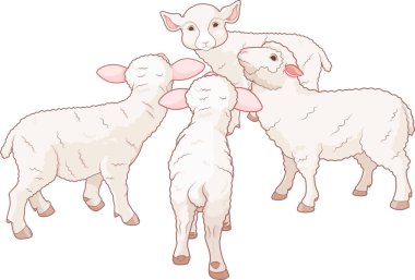  very cute sheep  clipart