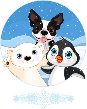 Kış hayvanlar. Kutup ayısı, Penguen 