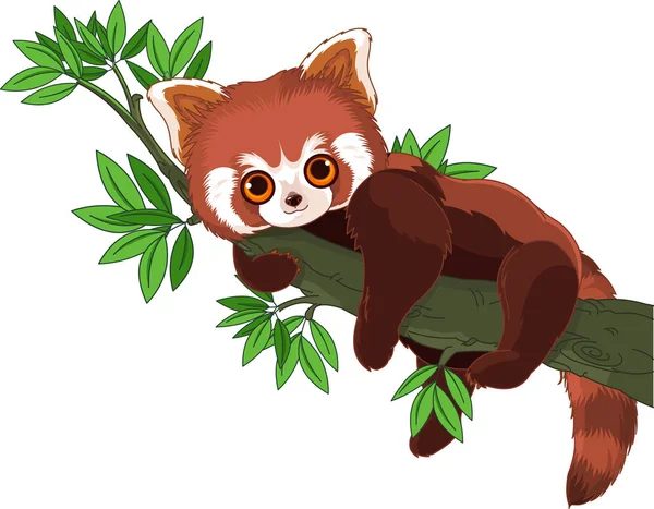 Panda sur une branche d'arbre — Image vectorielle