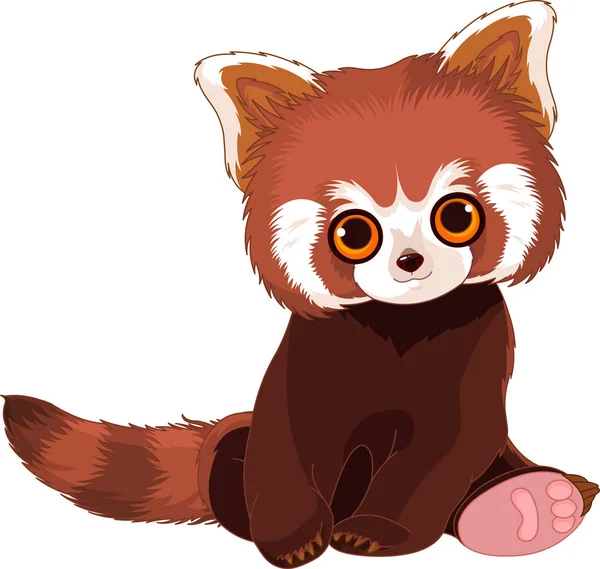 Χαριτωμένο κόκκινο panda — Διανυσματικό Αρχείο