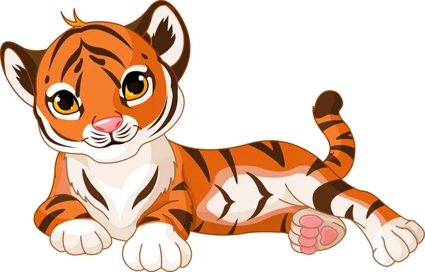 Lindo tigre en un blanco — Vector de stock