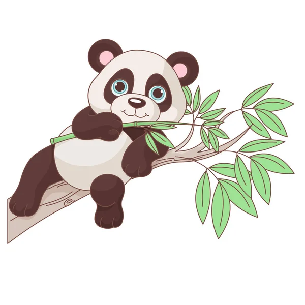  sevimli panda bir dalda oturuyor