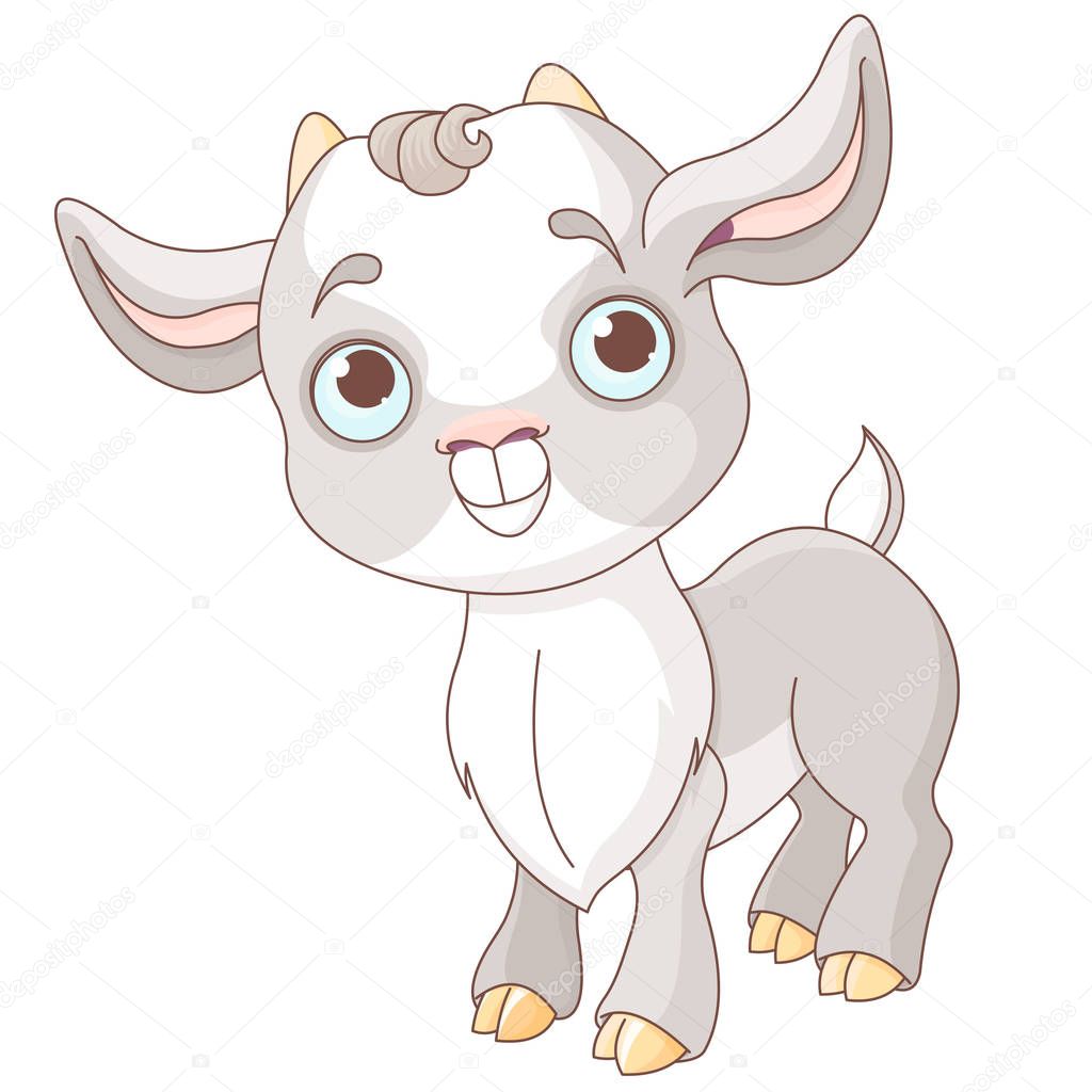 Little Baby Goat