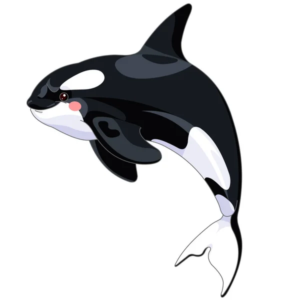 Ikan paus pembunuh yang lucu - Stok Vektor