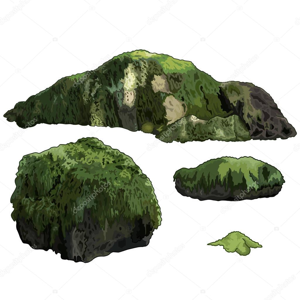 collection of stones overgrown with moss