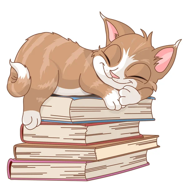 Gato dormindo em pilha de livros — Vetor de Stock