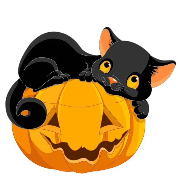 Halloween kitten lying on pumpkin Vector Graphics