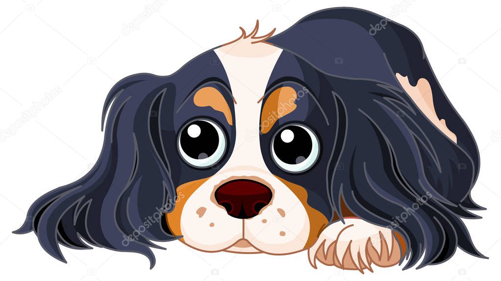 Cavalier King Charles Spaniel — Stock Vector © Dazdraperma #168712288