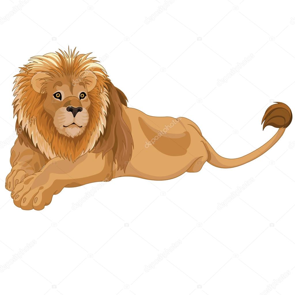 Illustration of gorgeous lion
