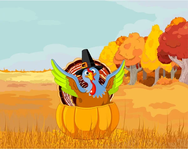 Pavo en calabaza en el campo de otoño — Vector de stock