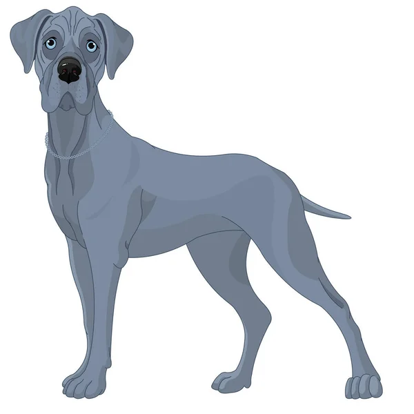 Great Danes Dog Vector Illustration — Stock Vector
