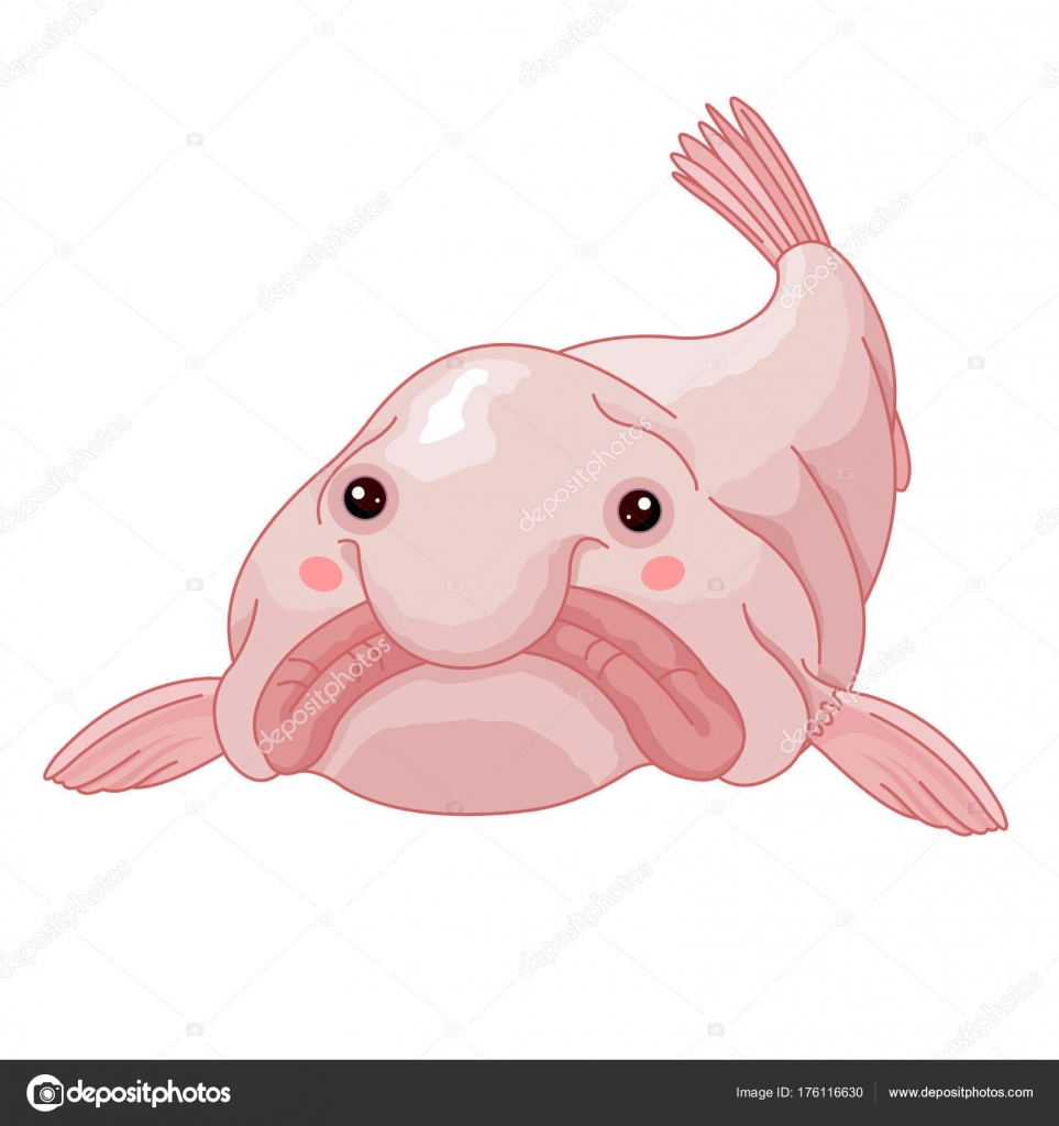 So cute  Blobfish, Cartoon fish, Fish drawings