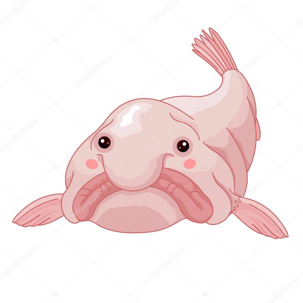 Pictures: blobfish drawing | Funny Blob Fish Vector Illustration