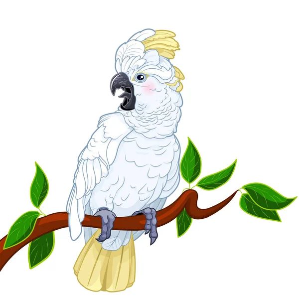 Cartoon Illustration Cockatoo Parrot Bird Sitting Tree Branch White Background — ストックベクタ