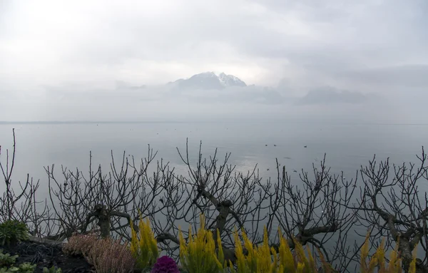 Bela vista por uma manhã enevoada no Lago de Genebra — Fotografia de Stock
