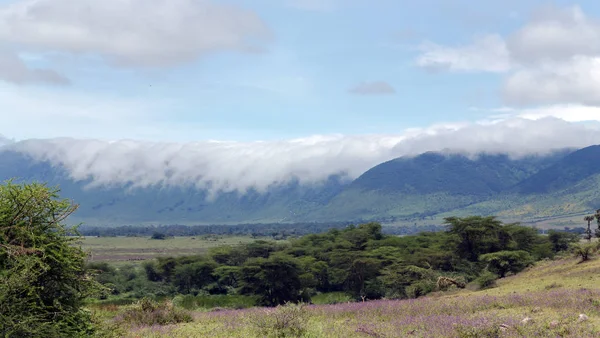 Nuvens suaves atravessando a borda da cratera — Fotografia de Stock