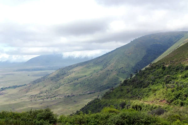 Ngorongoro krateri koruma alanı Panoraması — Stok fotoğraf