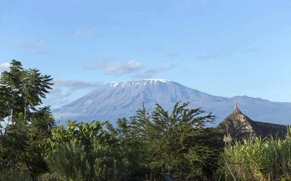 Beautiful Kilimanjaro mountain with a small cap of snow — Stock Photo, Image