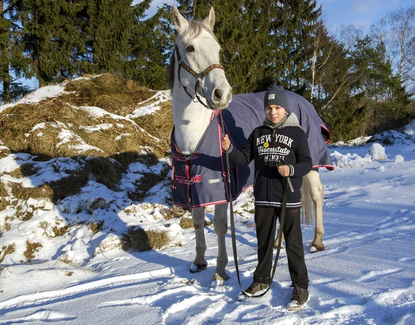 A teenager on a winter walk with his horse — Stock Photo, Image