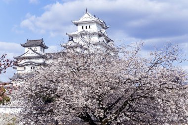 Himeji Kalesi veya beyaz ak balıkçıl kale